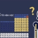what elements can humans be made of 124196
