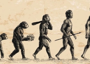 what happens if humans have tails 123763