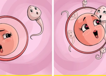 what happens if you eat honey every day 119476