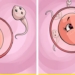 what happens if you eat honey every day 119476
