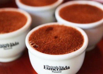 what is in the 8 most expensive coffees in the world priced at 100 usd