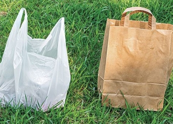 what is vet carbon are paper bags really greener than plastic bags 121783