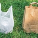 what is vet carbon are paper bags really greener than plastic bags 121783
