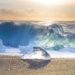 what will happen if the earth enters the next ice age 123083
