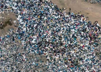 when salmon in chile becomes the worlds largest landfill 124474