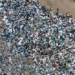 when salmon in chile becomes the worlds largest landfill 124474