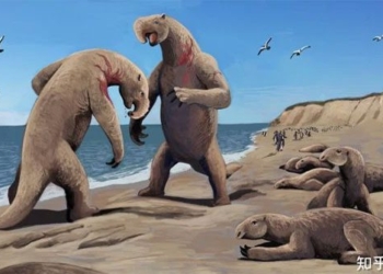 when the earth is overlooked this monster begins to learn the advanced techniques of whales and sink into the ocean 117948