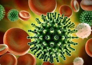where do viruses come from and are they living organisms or not 119748