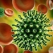 where do viruses come from and are they living organisms or not 119748