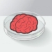 which cells nourish the brain for gaming 123623
