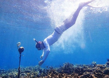 who trained to hear the sound of the living coral reef 120982