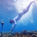 who trained to hear the sound of the living coral reef 120982