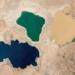 why 3 trees in ethiopia have strange colors 123575