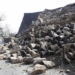 why 90 earthquakes around the world are in the ring of fire pacific 119489