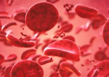 why do we have different blood types 119770