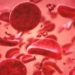 why do we have different blood types 119770