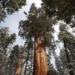 why gia lai forest is important 120239