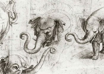 why is there an elephant happily chosen under vatican 124009