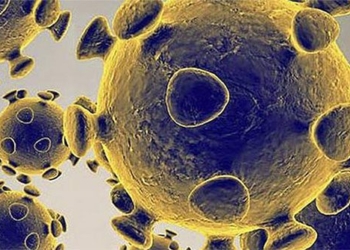 why many people do not get covid 19 despite contact with infected persons 117992
