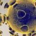 why many people do not get covid 19 despite contact with infected persons 117992