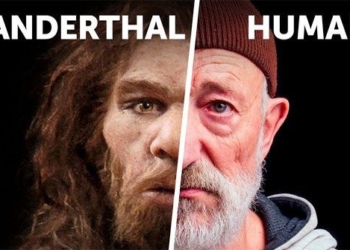 why neanderthals failed in survival battle 123227
