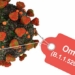 why omicron could be the final variant that causes concerns in the covid 19 pandemic 117943