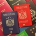 why rebirth is important information on passport 122011