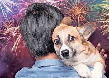 why some fireworks are more explosive than usual 121676