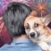 why some fireworks are more explosive than usual 121676