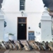 why south african wine farm raises ducks 121792