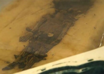 why the golden mask of pharaoh tutankhamun has 2 mummified fetuses 120411
