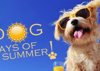 why the hot days of july are called the days of waiting 121980