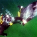 why the whale is implemented to protect the important bases in the war with ukraine 120317