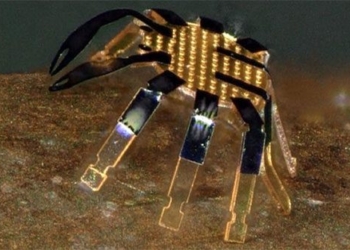 worlds smallest remote controlled robot invention 121105