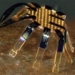 worlds smallest remote controlled robot invention 121105