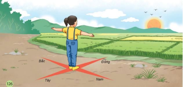 Childhood environment determines individual differences in navigation skills.