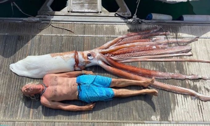 The squid is so intact that it still has its eyes.