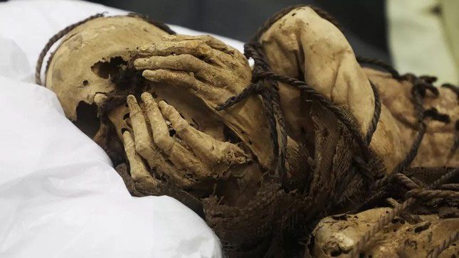 Mummy found in a bound position