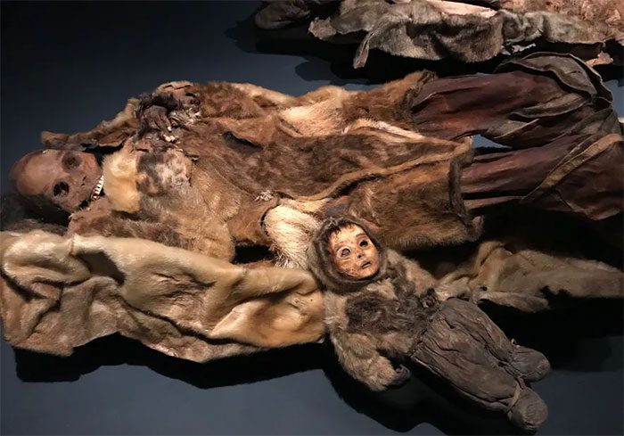 Two of the 500-year-old mummies displayed in a museum in Greenland.