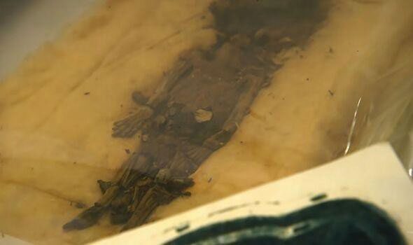 King Tut was buried with two fetuses - his two daughters who died before birth.