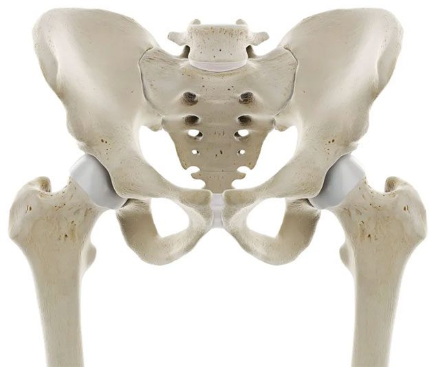 Women generally have larger pelvises than men.