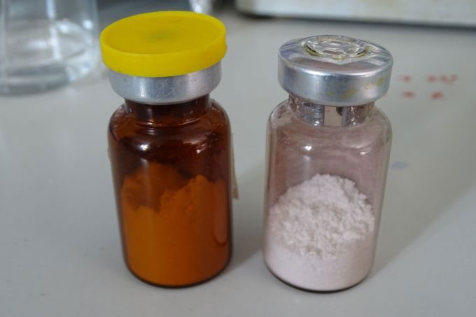Artificial bone products BCP (left) and α-HH from the research group.
