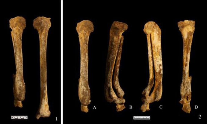 The remains of the woman found since 1999