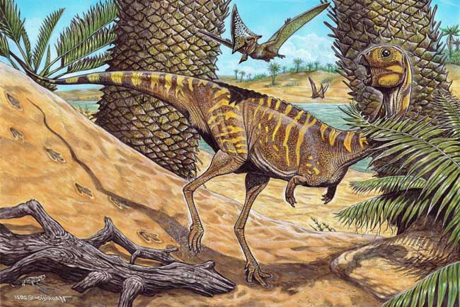 Simulation of the Berthasaura leopoldinae dinosaur.