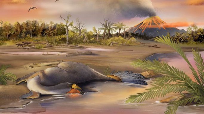 The remarkably preserved remains of a Caudipteryx may still contain DNA