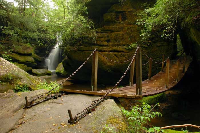 Dismals Canyon is a sandstone gorge located in northern Alabama, USA.