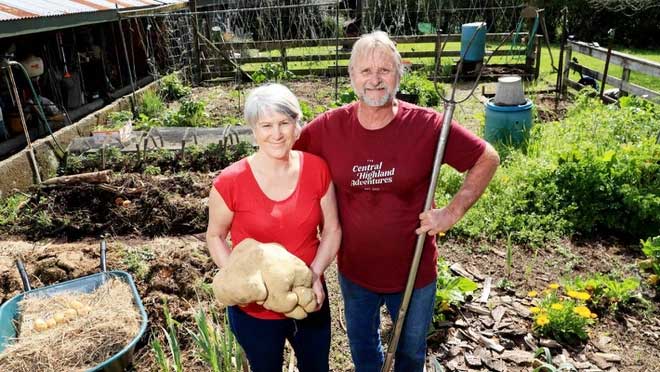 Colin and Donna Craig-Brown with the nearly 8 kg potato.