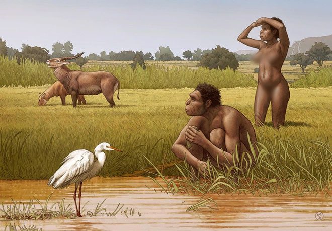 The newly identified human species is our direct ancestor