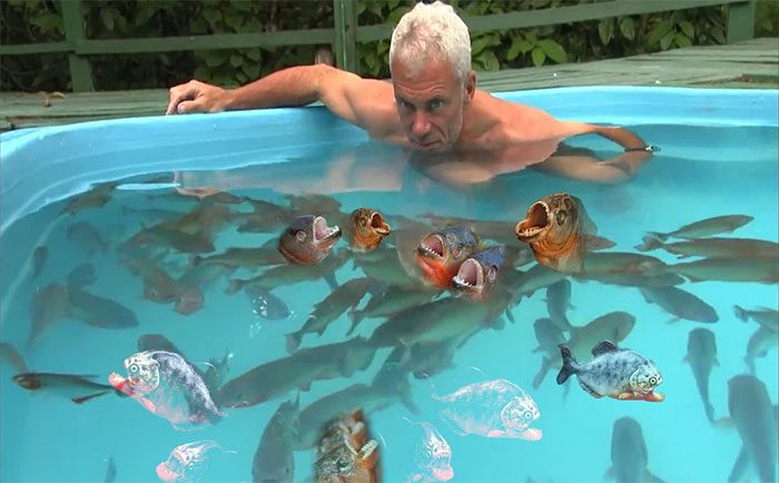 A school of fish swims around him without any intention to attack.