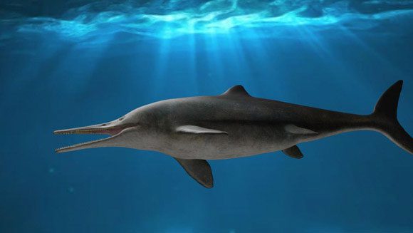 Graphic depiction of the newly discovered ichthyosaur